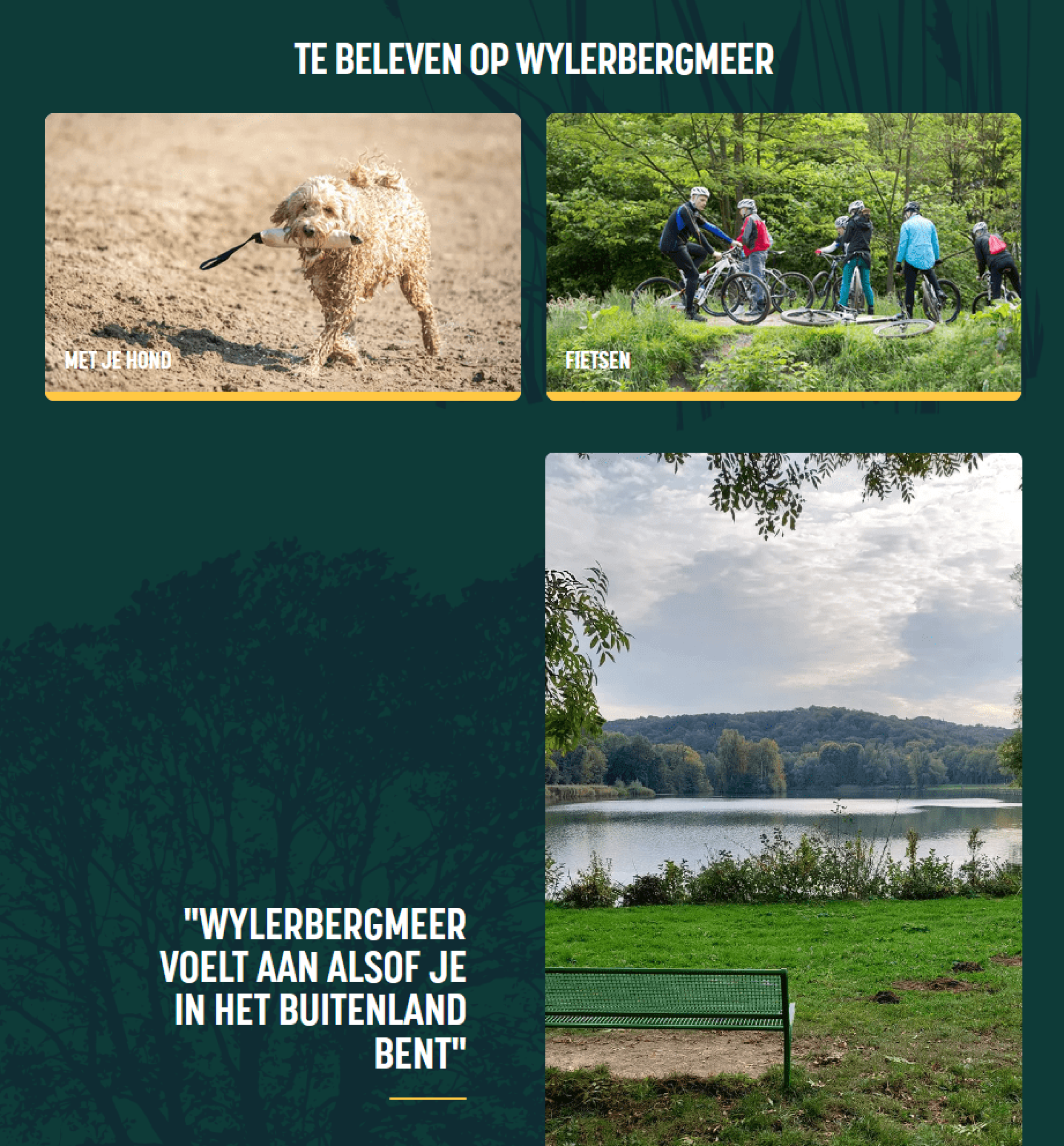 wylerbergermeer